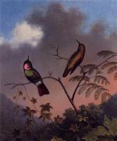 Heade, Martin Johnson - Brazilian Ruby Hummingbirds